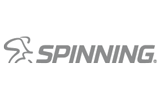 Spinning Logo