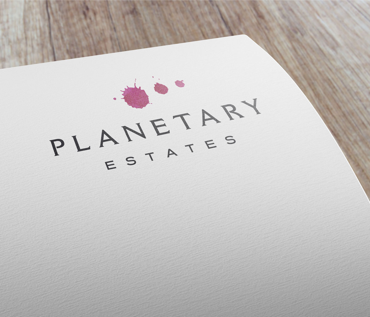 Planetary Estates logo
