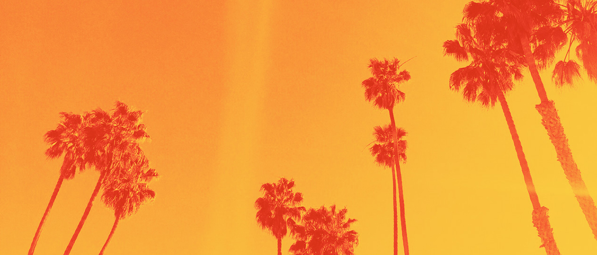 Sunset with palm trees